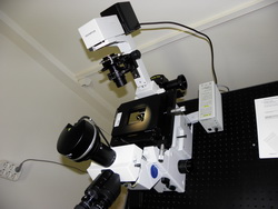 microscop inversat